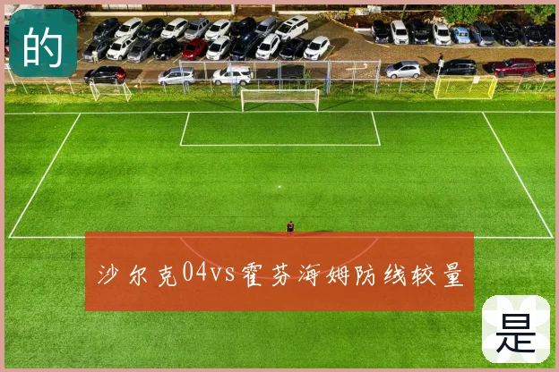 沙尔克04vs霍芬海姆防线较量